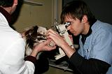 AUSCULTATION 152
